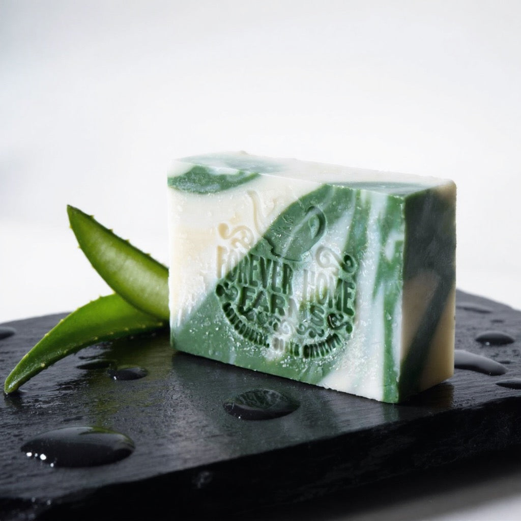 Everglade Aloe- Travel collection