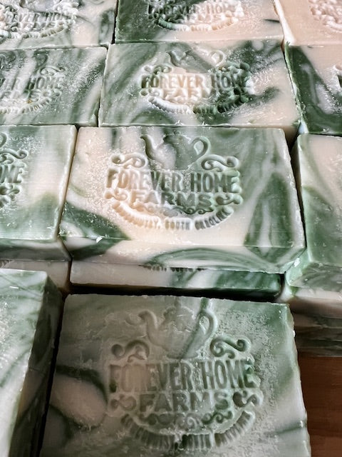 Everglade Aloe- Travel collection