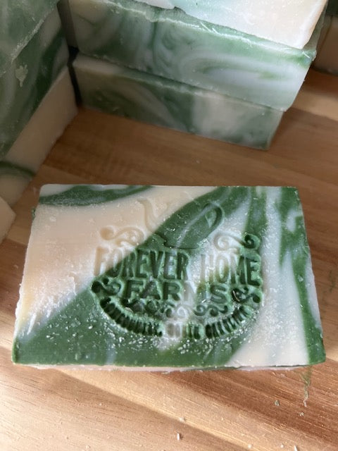 Everglade Aloe- Travel collection