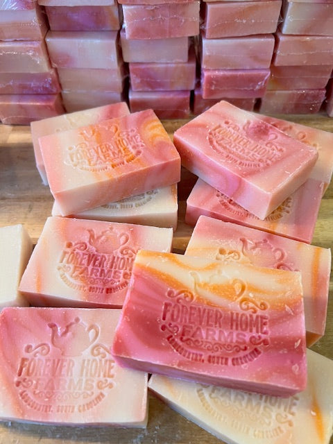 Jamaican Sunrise - Travel Collection