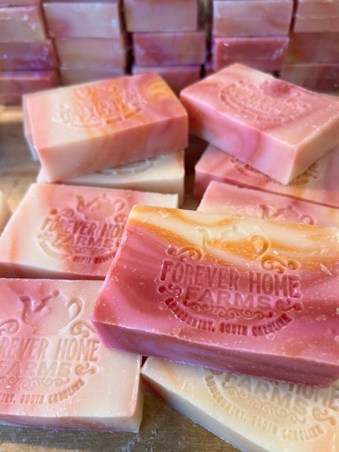 Jamaican Sunrise - Travel Collection