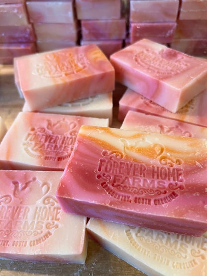 Jamaican Sunrise - Travel Collection