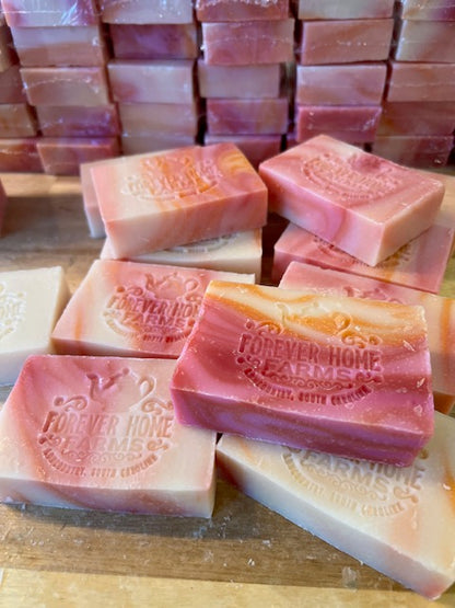 Jamaican Sunrise - Travel Collection