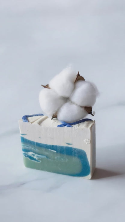 Lowcountry Cotton